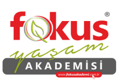 Fokus Yaşam Akademisi